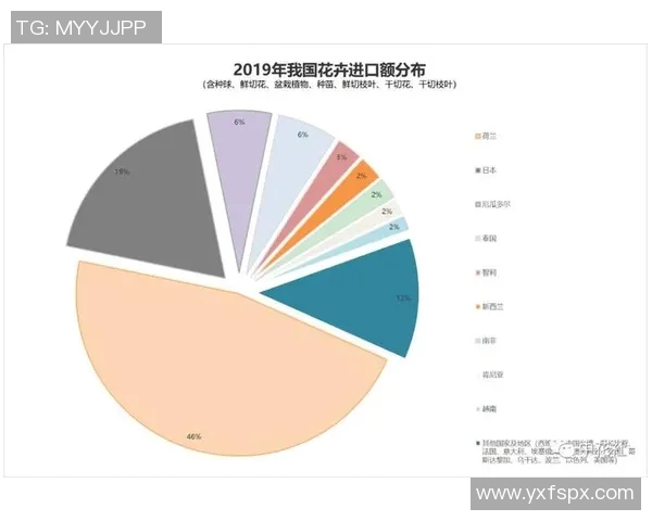 独家分析:杭州排球队的速度对比